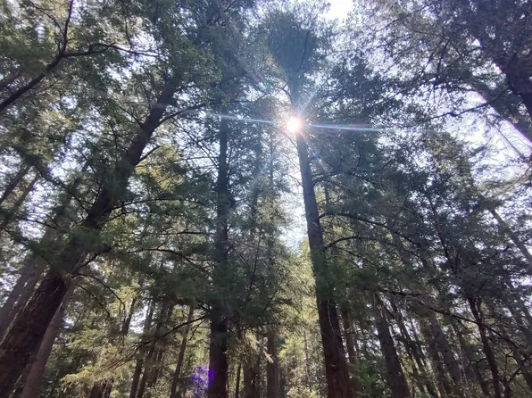 3964 Big Flat Rd, Crescent City, CA 95531