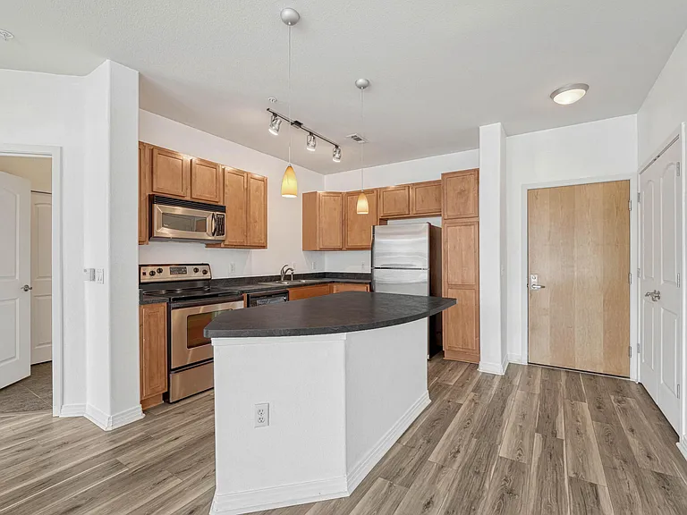 10176 Park Meadows Dr #2217 — Photo 13