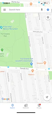 Rented by Rapid Realty Fort Greene Inc | media 27