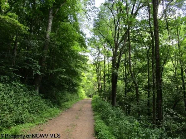 Windy Run Rd, Valley Head, WV 26294
