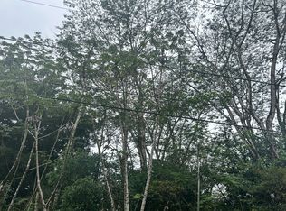 Ginger Rd LOT 494, Pahoa, HI 96778