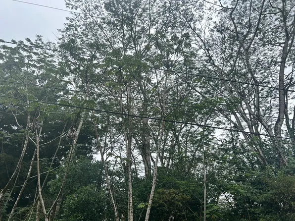 Ginger Rd Lot 494, Pahoa, HI 96778