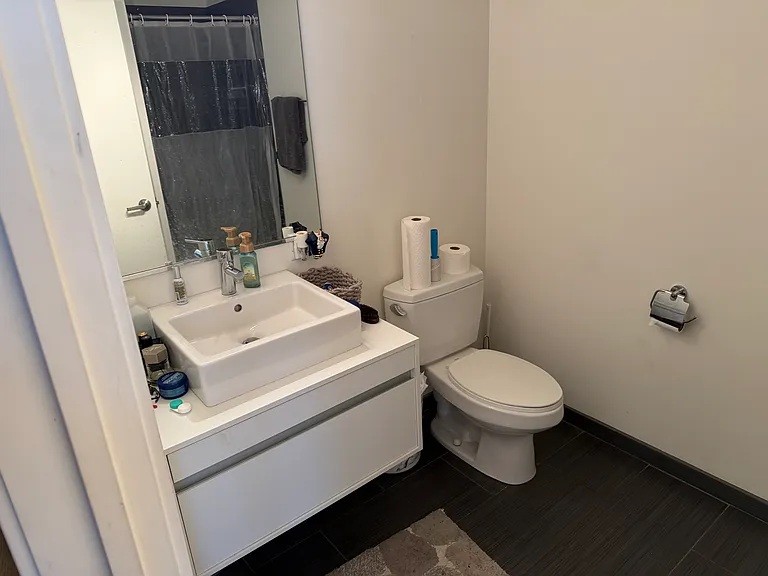 1345 S Wabash Ave #1612 — Photo 6