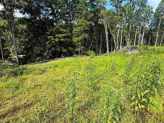 2nd image of Knights Fork Rd