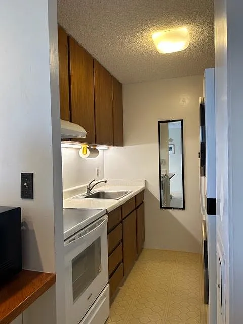 1 bed, 532 sqft, $2,000 — Photo 2