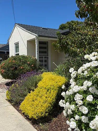1502 Jasmine St #1502 Photo 1