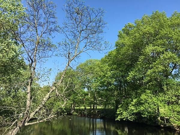 2nd image of 221 River Dr