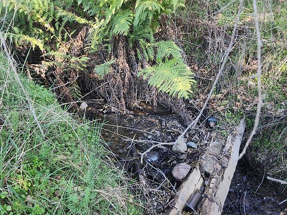 2nd image of 4300 Spyrock Road