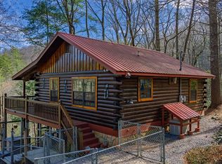 216 Pig Trl, Cherry Log, GA 30522
