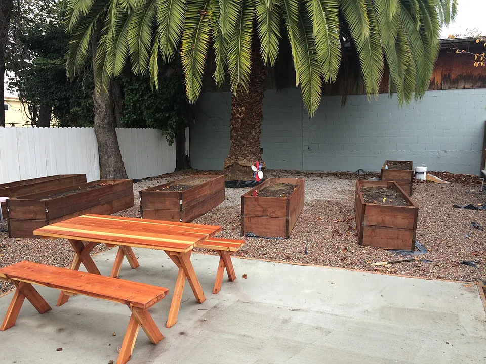 Back yard 