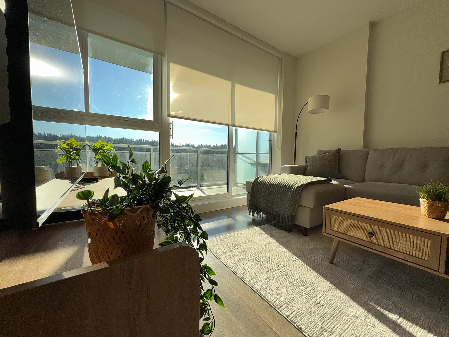 1 bed, 629 sqft, $3,500 — Photo 4