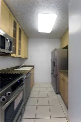 Rented by Manhattan Skyline | media 8