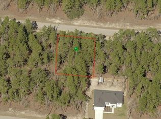 9351 N Fairy Lilly Dr, Citrus Springs, FL 34433