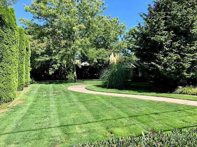 Westbury Commons — Photo 6