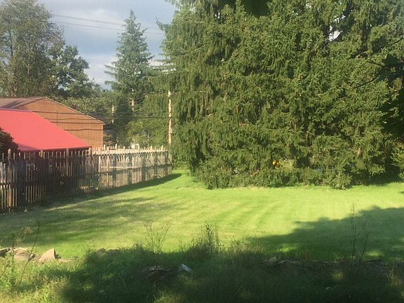 Mature trees for privacy 