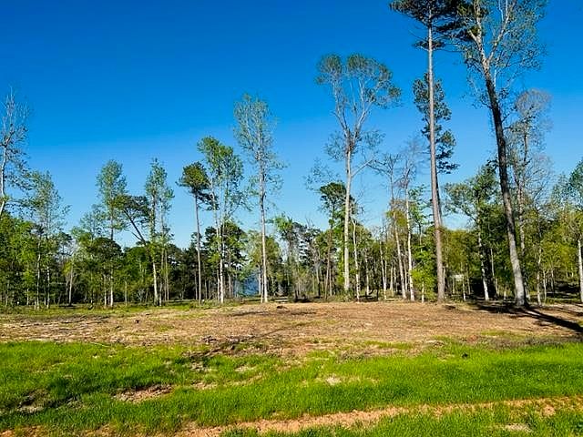 2nd image of 897 Nine Mile Rd