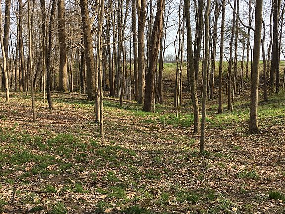 Gentle slope; ideal walkout