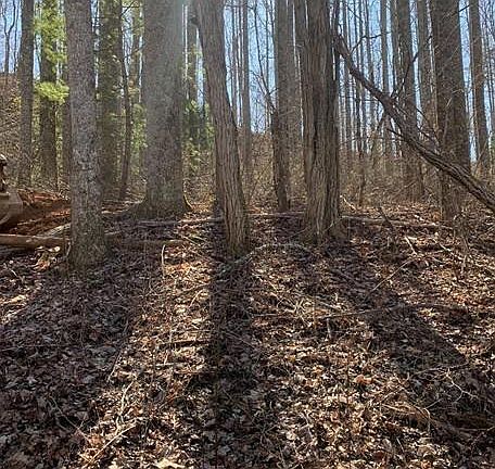 4th image of 3 Cedar Mountain Rd