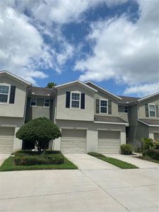 8855 Turnstone Haven Pl, Tampa, FL, 33619