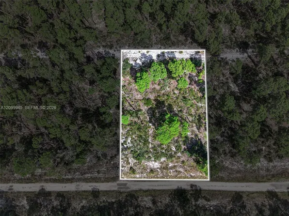 431 Hummingbird Ave, Sebring, FL 33872
