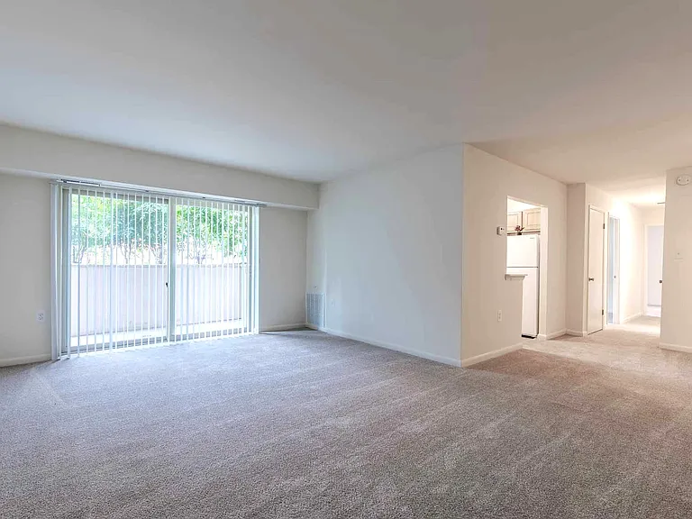 Plush Carpet Options