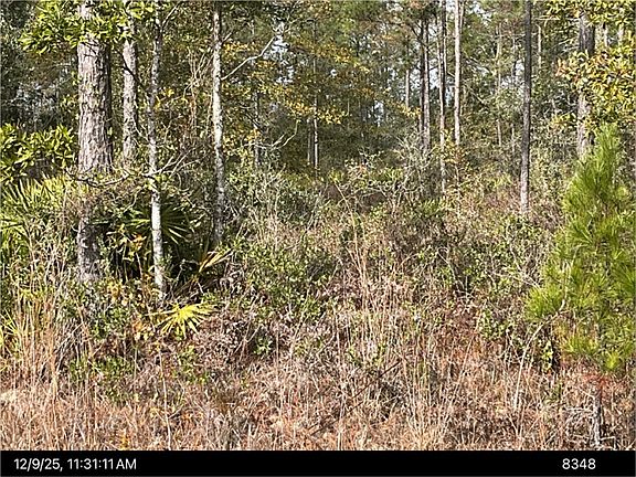 2nd image of 61 Best Loop