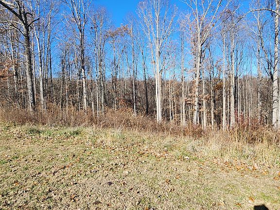 4th image of 0 Shiloh Ln Lot 10