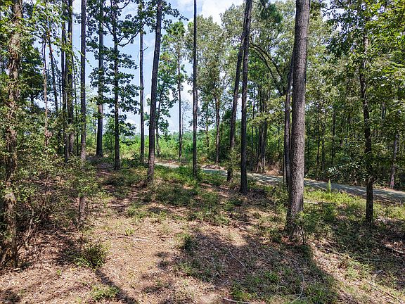 5th image of Pid 28447 Tall Pines Dr