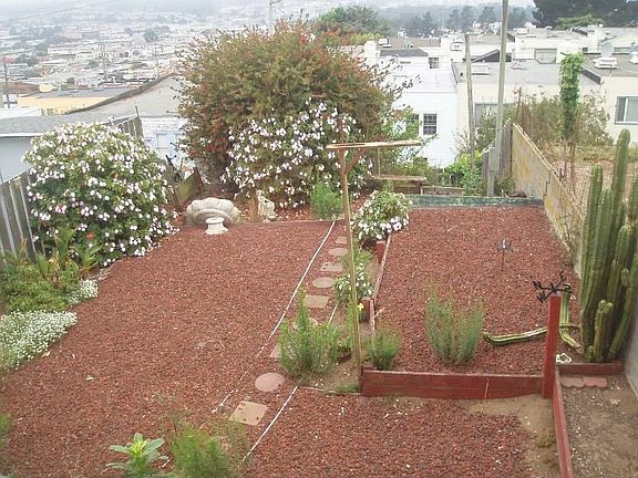 Backyard with lots of potential!