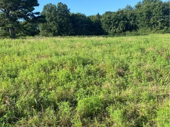 TRACT Two E 1250 Rd, Whitefield, OK 74472