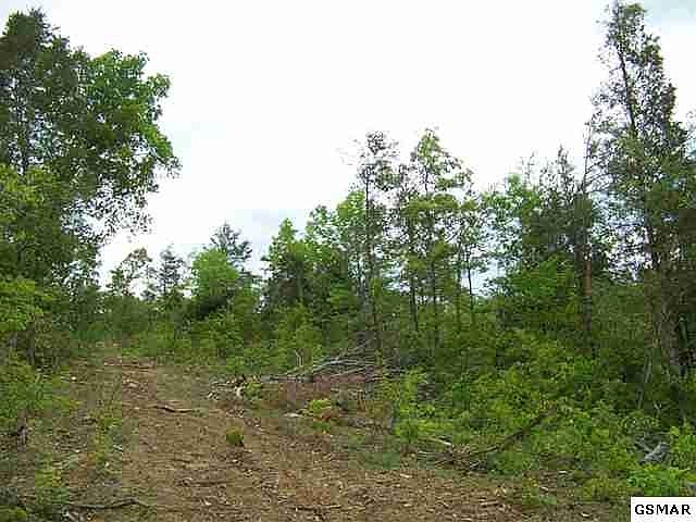 1st image of 4 Sugar Loaf Rd Lot 4