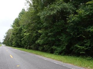 0 NW 193 St, Micanopy, FL 32667