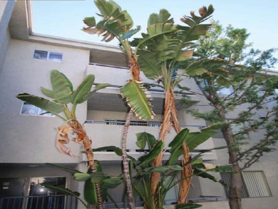 1st image of 13951 Moorpark St APT 107
