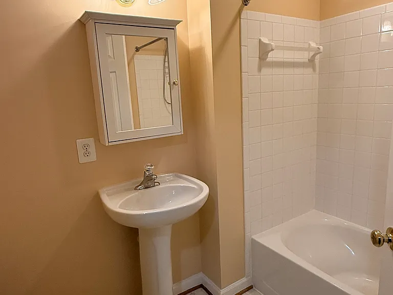 10404 Damascus Park Ln — Photo 57