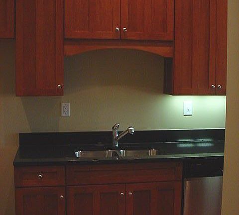 Gourmet kitchen with Bosch SS appliances, absolute black granite counters 