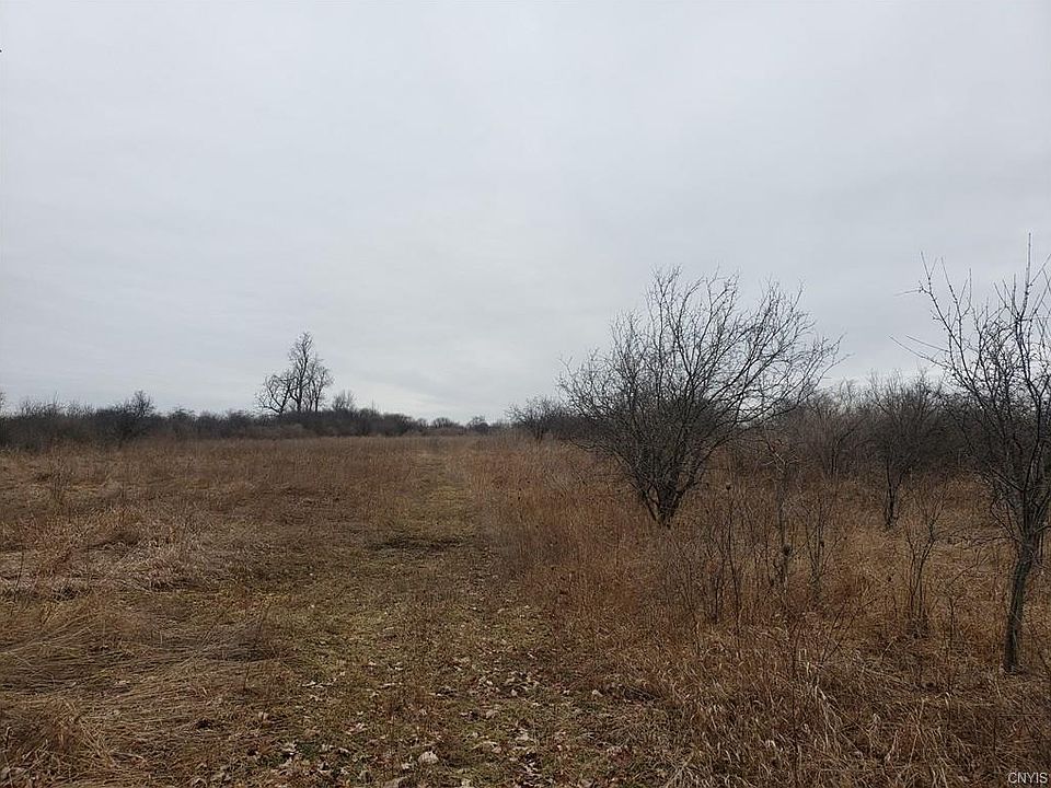 2nd image of 25227 Perch Lake Rd
