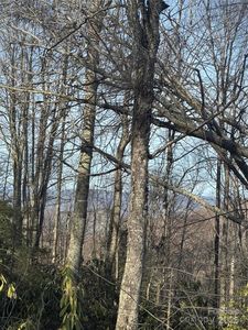 226 Greenbriar Rd #322-C, Banner Elk, NC, 28604