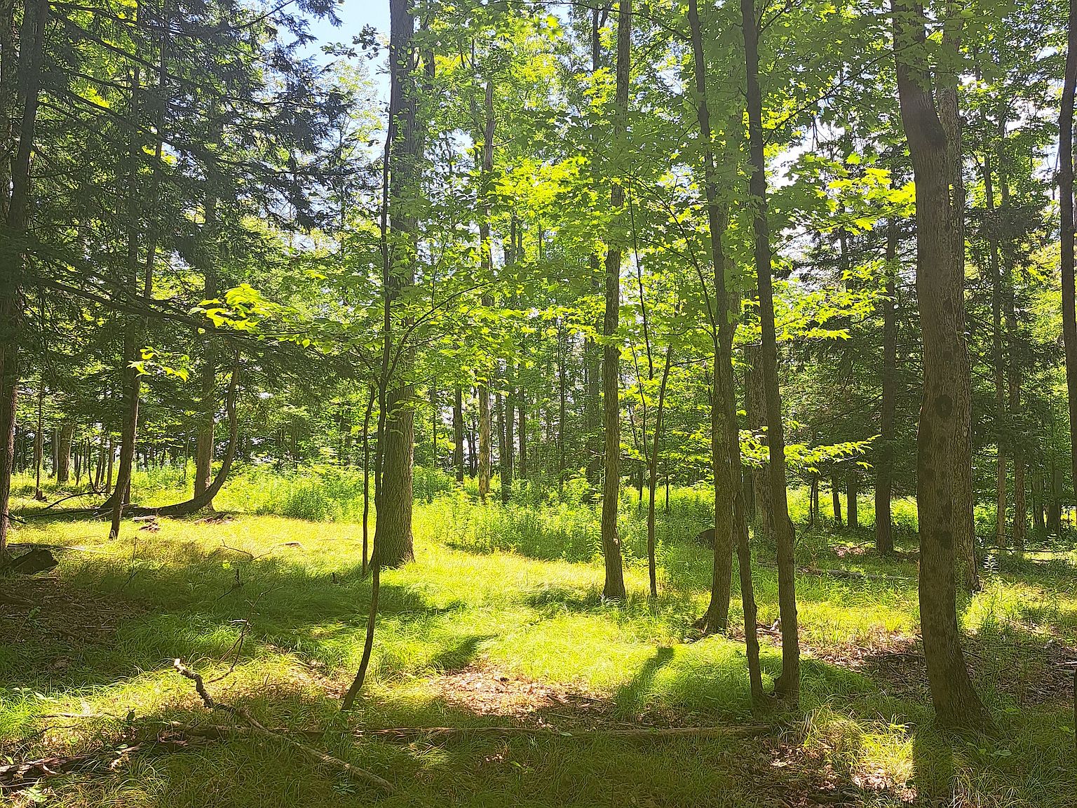 Baxter Lake Rd LOT WP001, Lawrenceville, PA 16929 Zillow