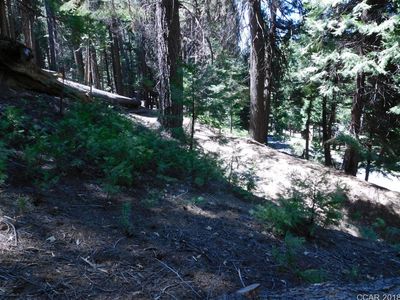 1578 Shoshone Dr, Camp Connell, CA, 95223