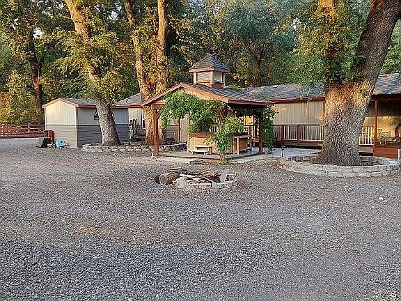 Back Yard #1