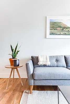 Rented by Monarch Realty Group | media 18