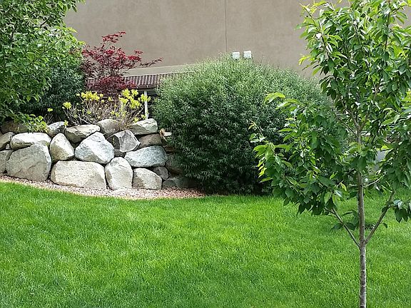 Views of the Backyard