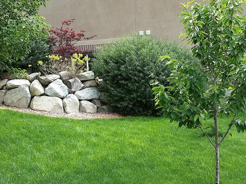 Views of the Backyard
