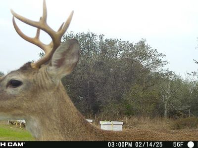 0 County Road 18, Hallettsville, TX, 77964