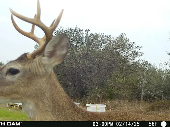 0 County Road 18, Hallettsville, TX 77964