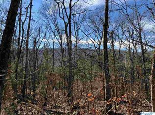 0 Bettinger Mountain Rd, Union Grove, AL 35175