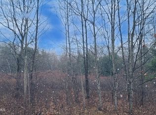 40 Bailey Rd, Jewett, NY 12444