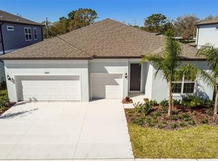 12113 Orchid Ash St, Riverview, FL 33579