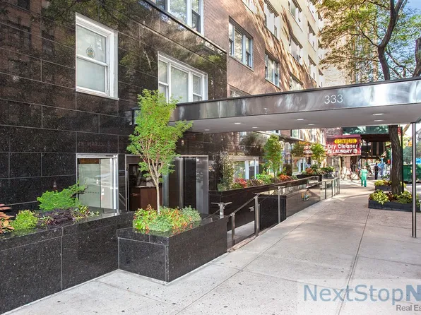333 East 66th Street image 8 of 9