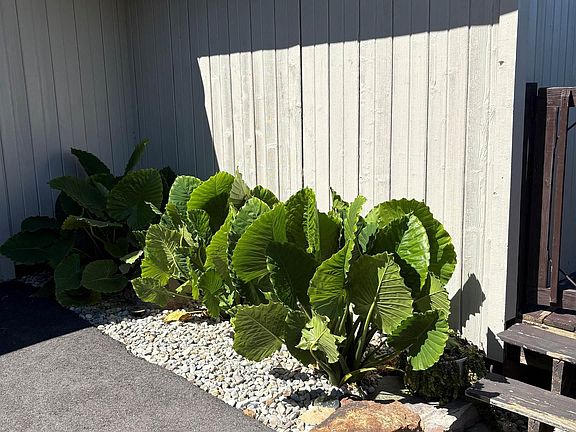 3rd image of 1477 W Eble Rd